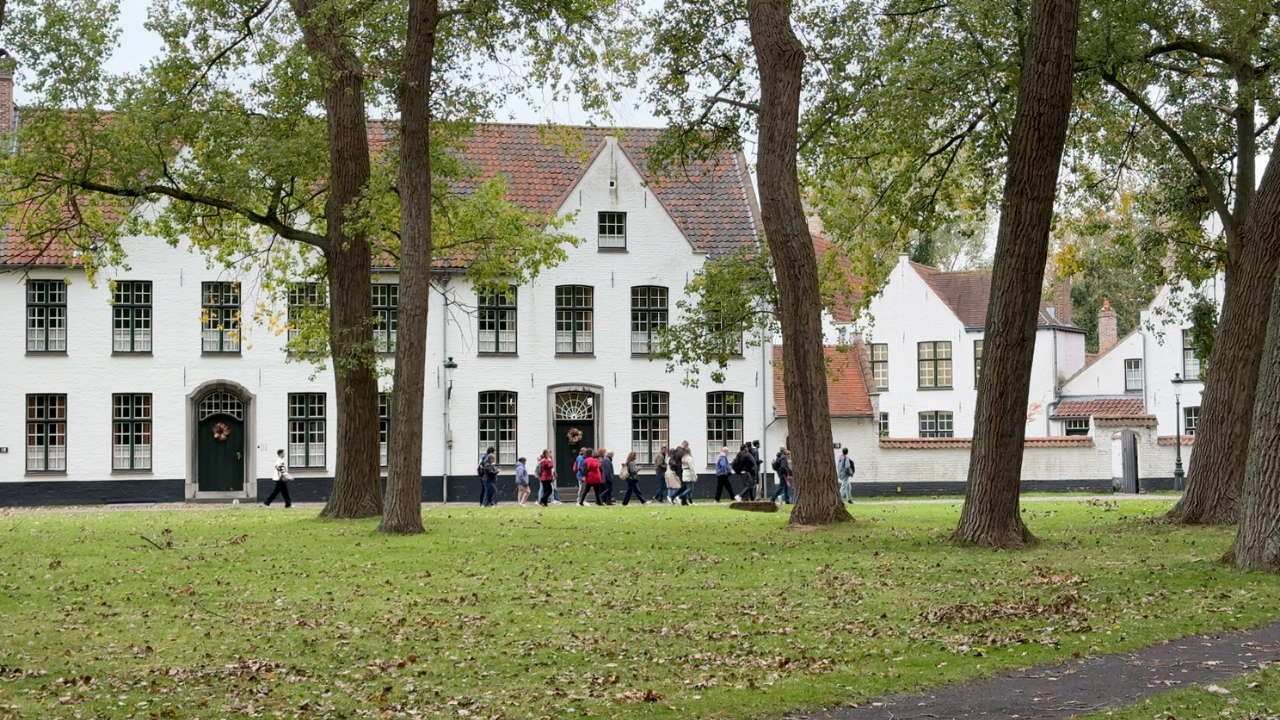 El Beginaje de Brujas 