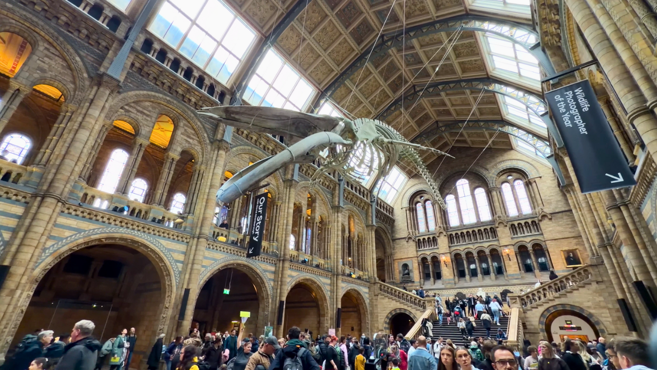 British Museum en Londres