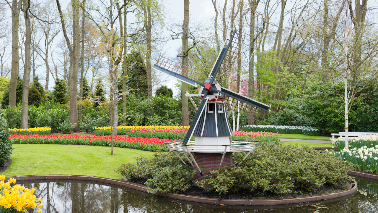 Keukenhof